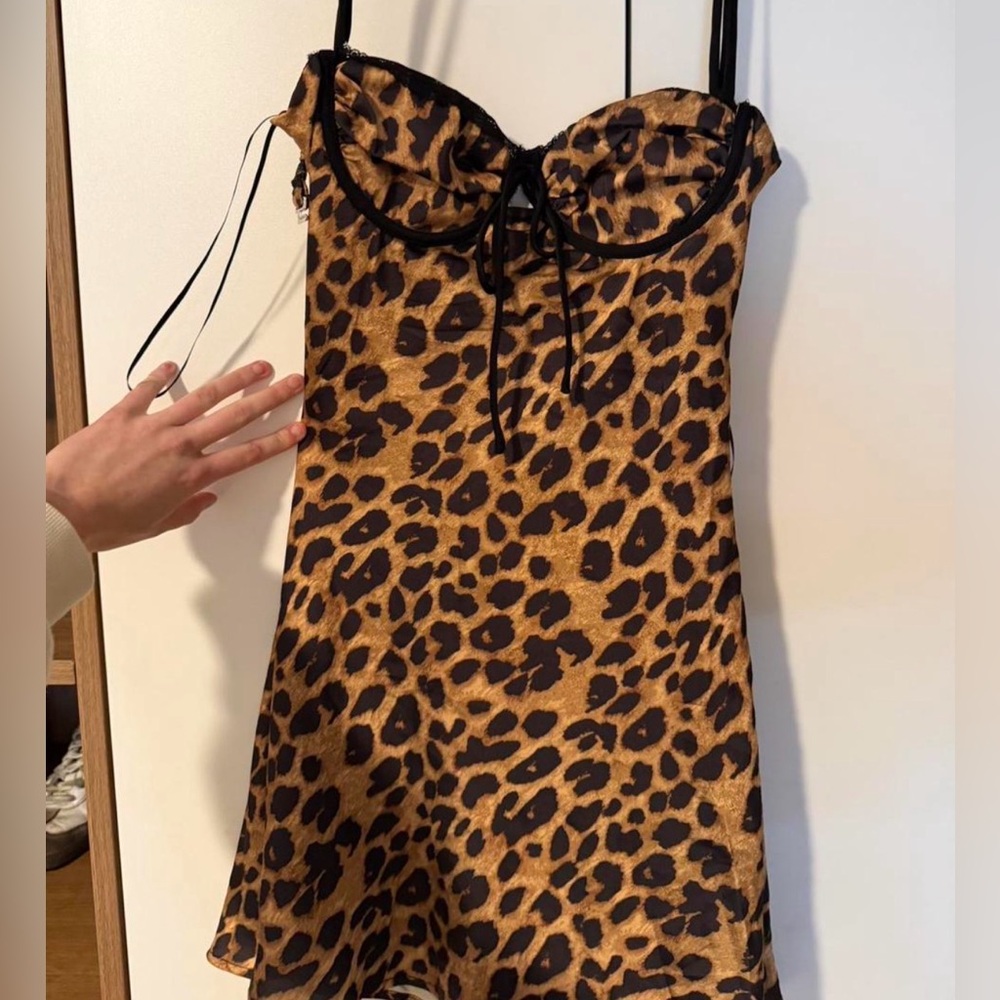 Pitaya Leopard Print Mini Dress